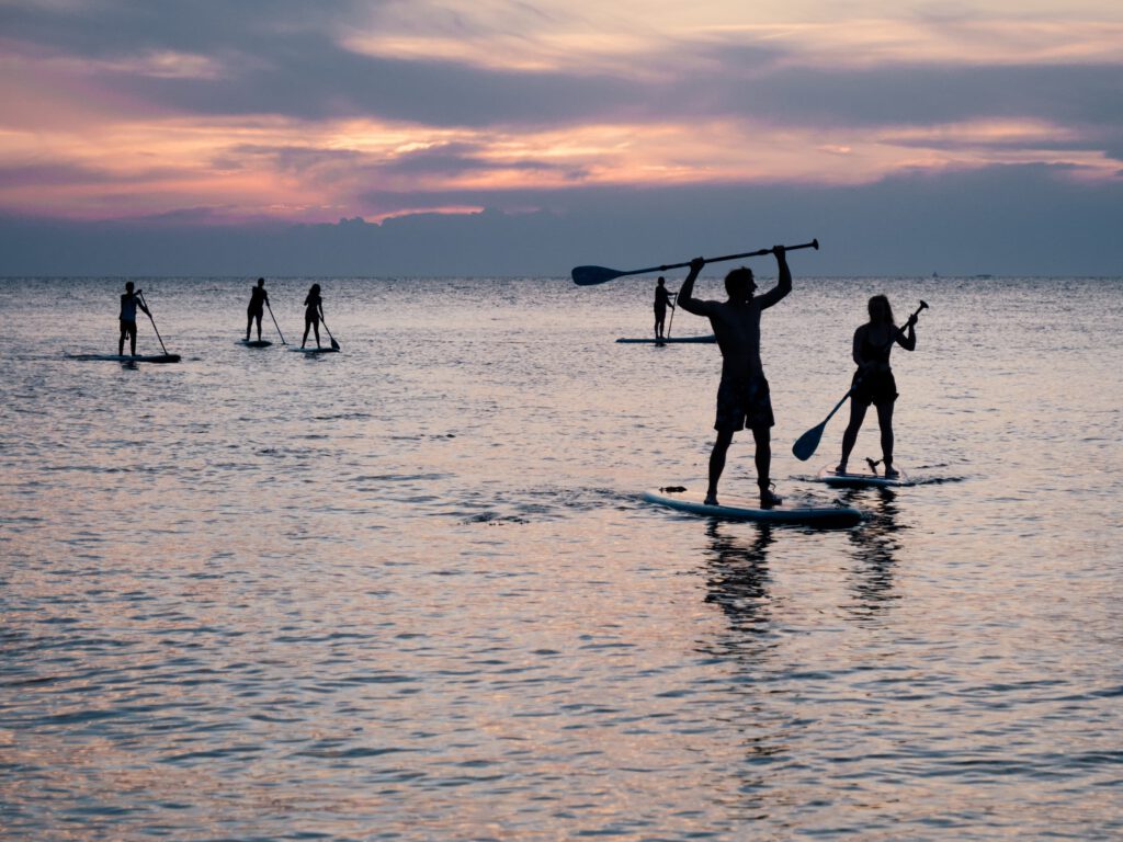 stand up paddle boarders